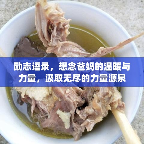 励志语录，想念爸妈的温暖与力量，汲取无尽的力量源泉
