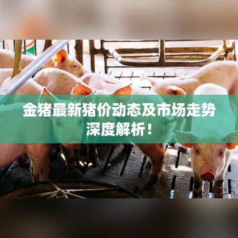 金猪最新猪价动态及市场走势深度解析！