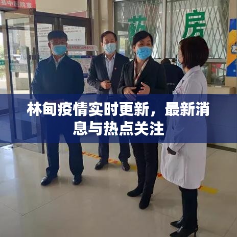 林甸疫情实时更新，最新消息与热点关注