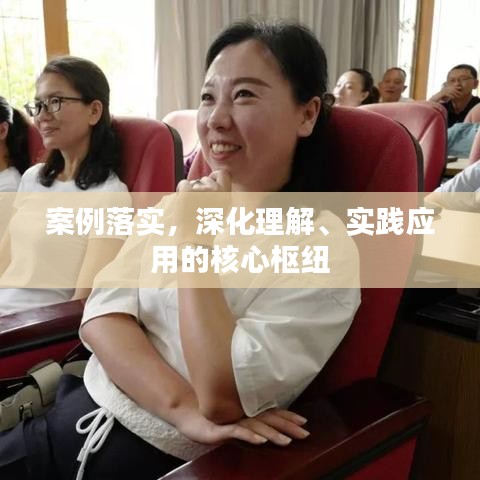 案例落实，深化理解、实践应用的核心枢纽