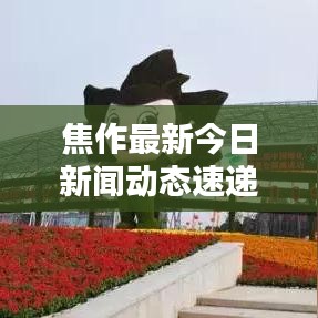 焦作最新今日新闻动态速递