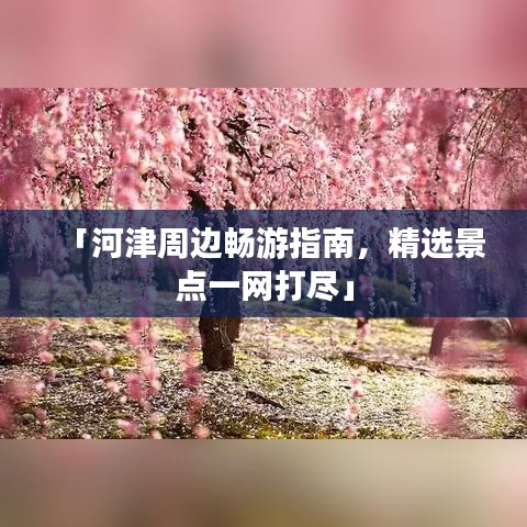 「河津周边畅游指南，精选景点一网打尽」